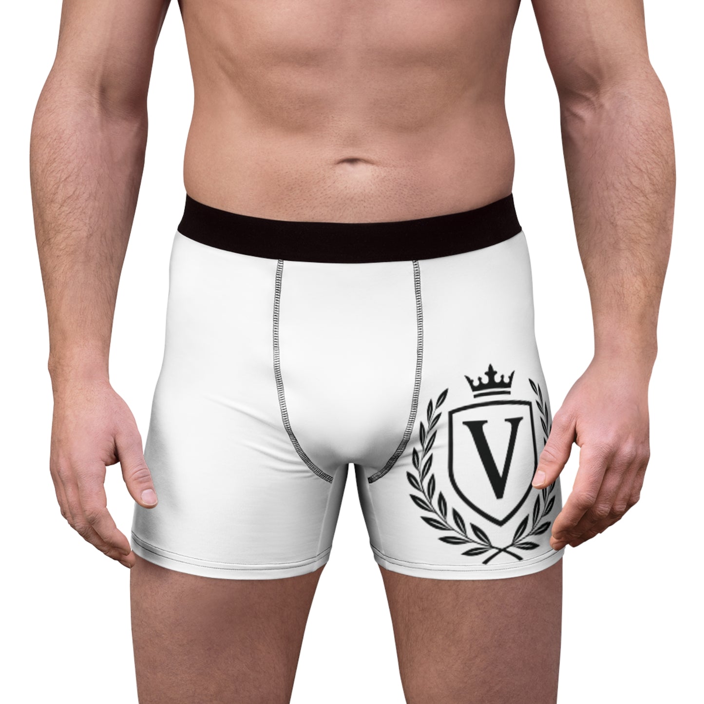 Veni Vidi Vici Men's Boxer Briefs