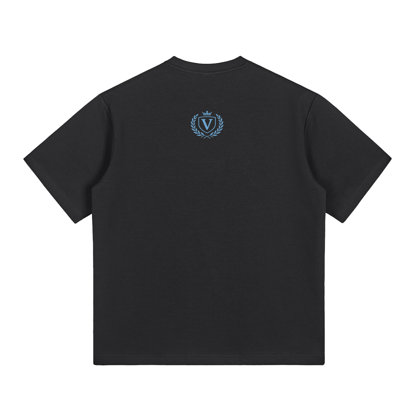 Veni Vidi Vici T-Shirt