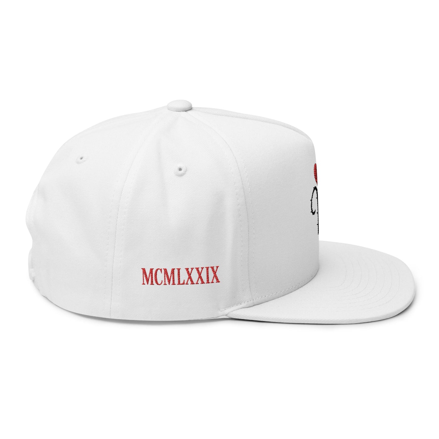 Veni Vidi Vici Embroidered Flat Bill Cap