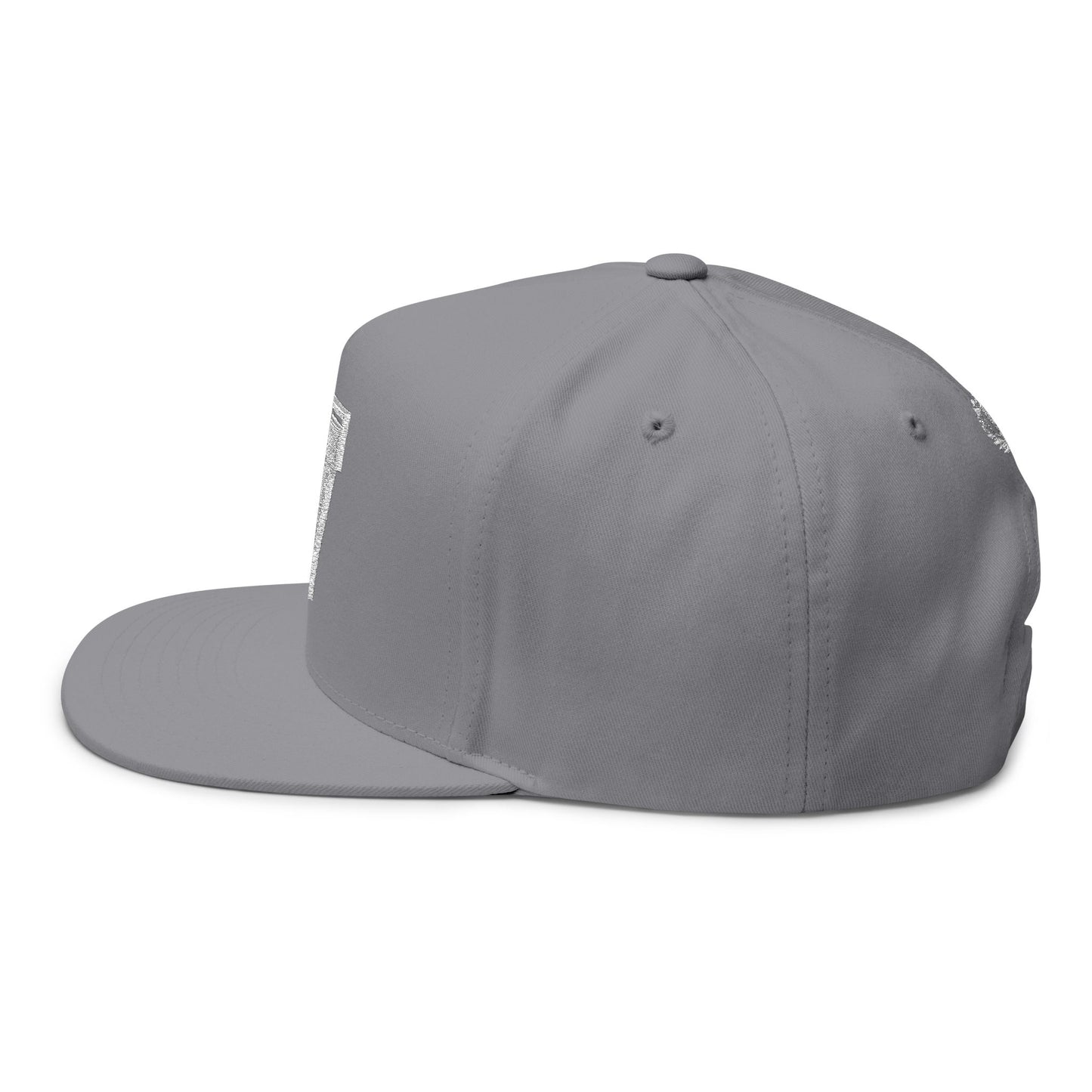 Grey Veni Vidi Vici Varsity Embroidered Cap