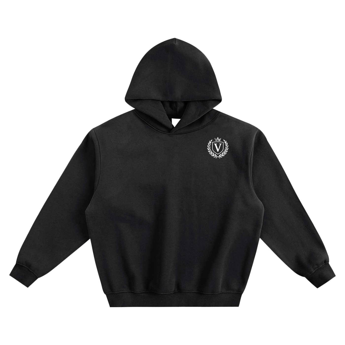 Veni Vidi Vici Boxy Hoodie