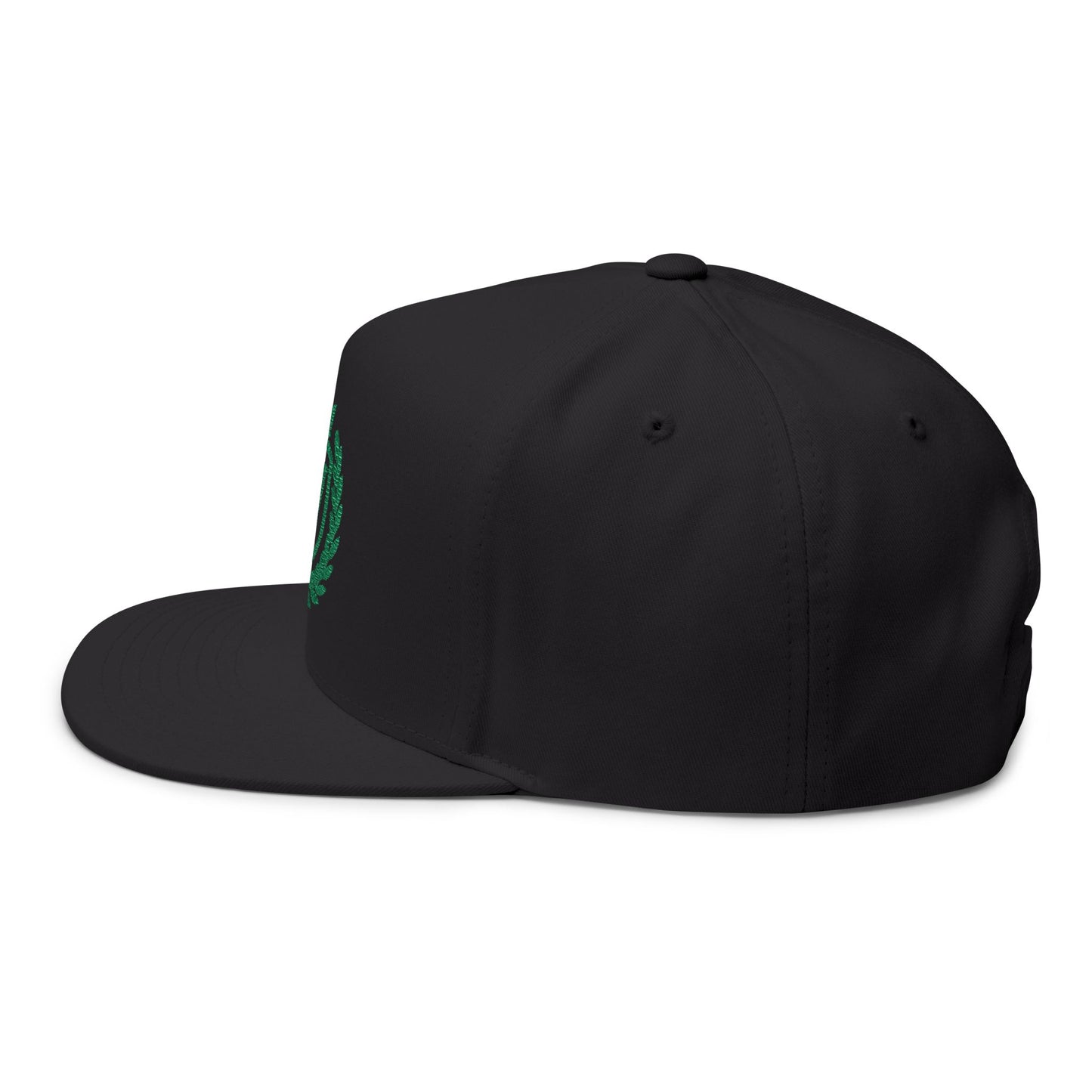 Veni Vidi Vici Embroidery Snapback Hat