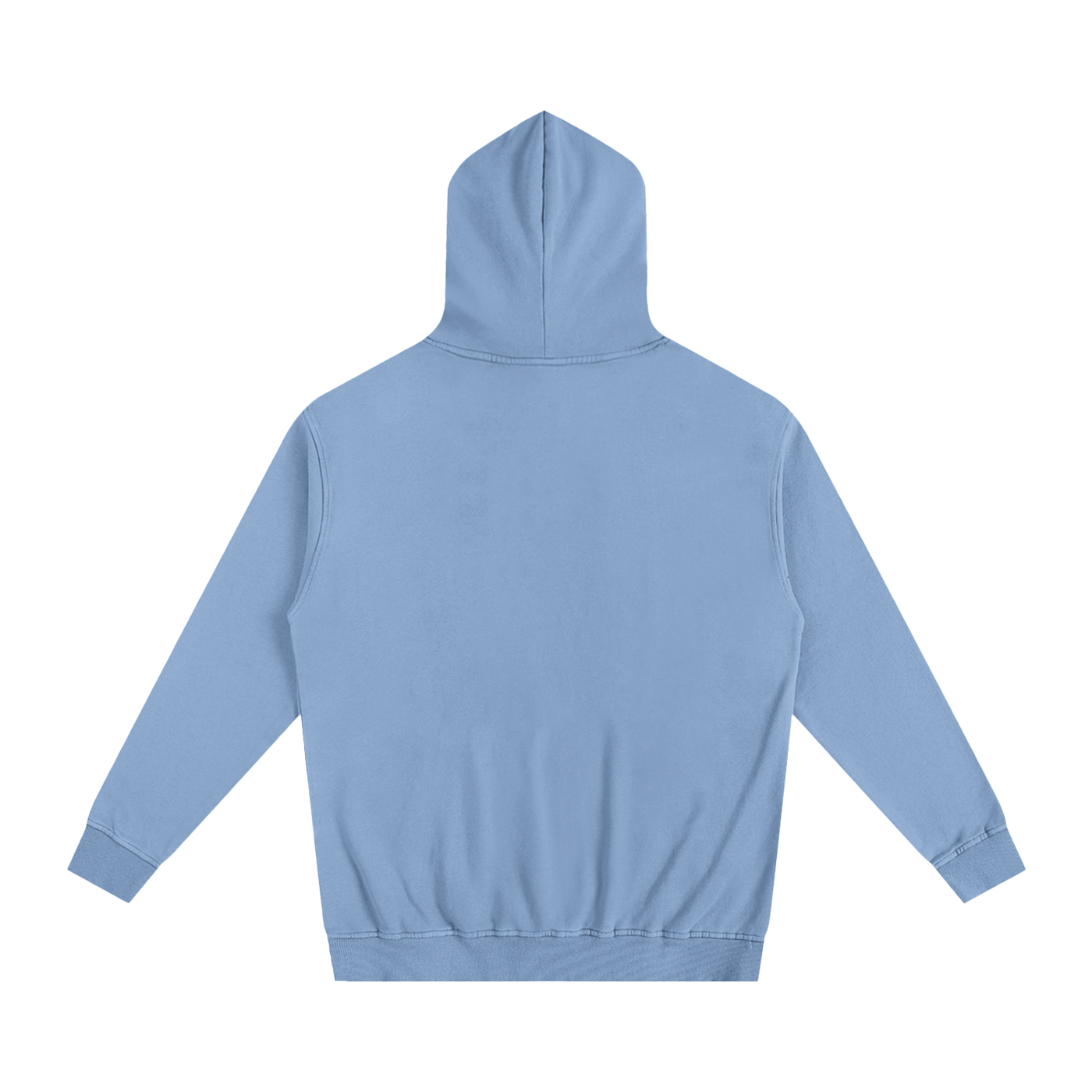 Veni Vidi Vici Oversized Hoodie