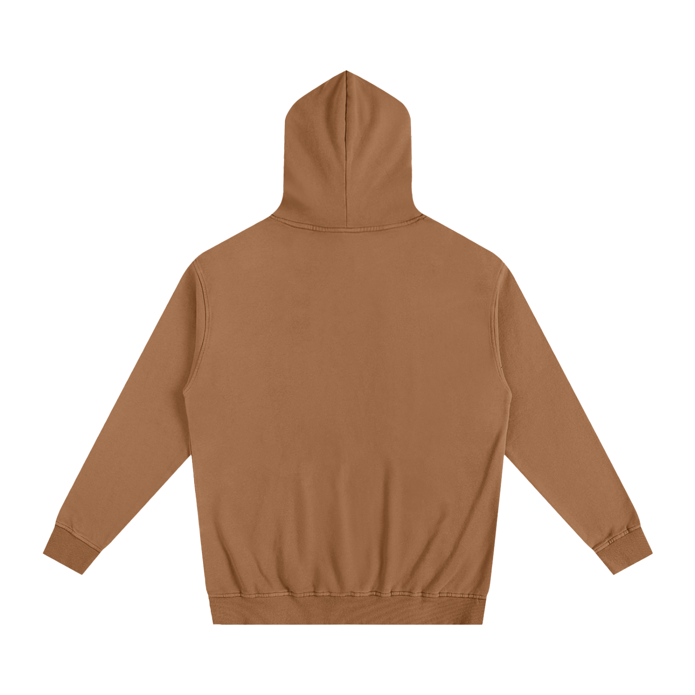 Veni Vidi Vici Oversized Hoodie