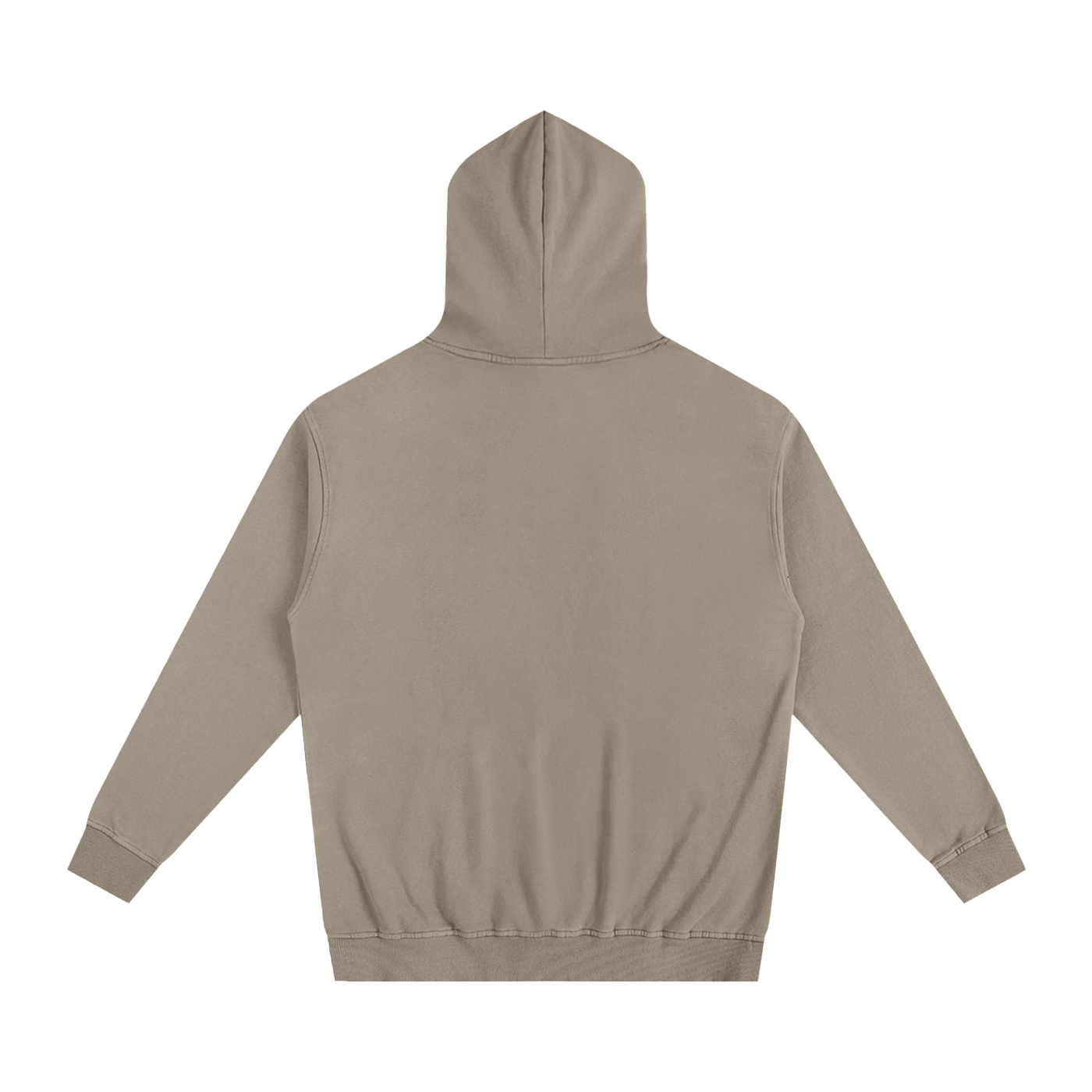 Veni Vidi Vici Oversized Hoodie