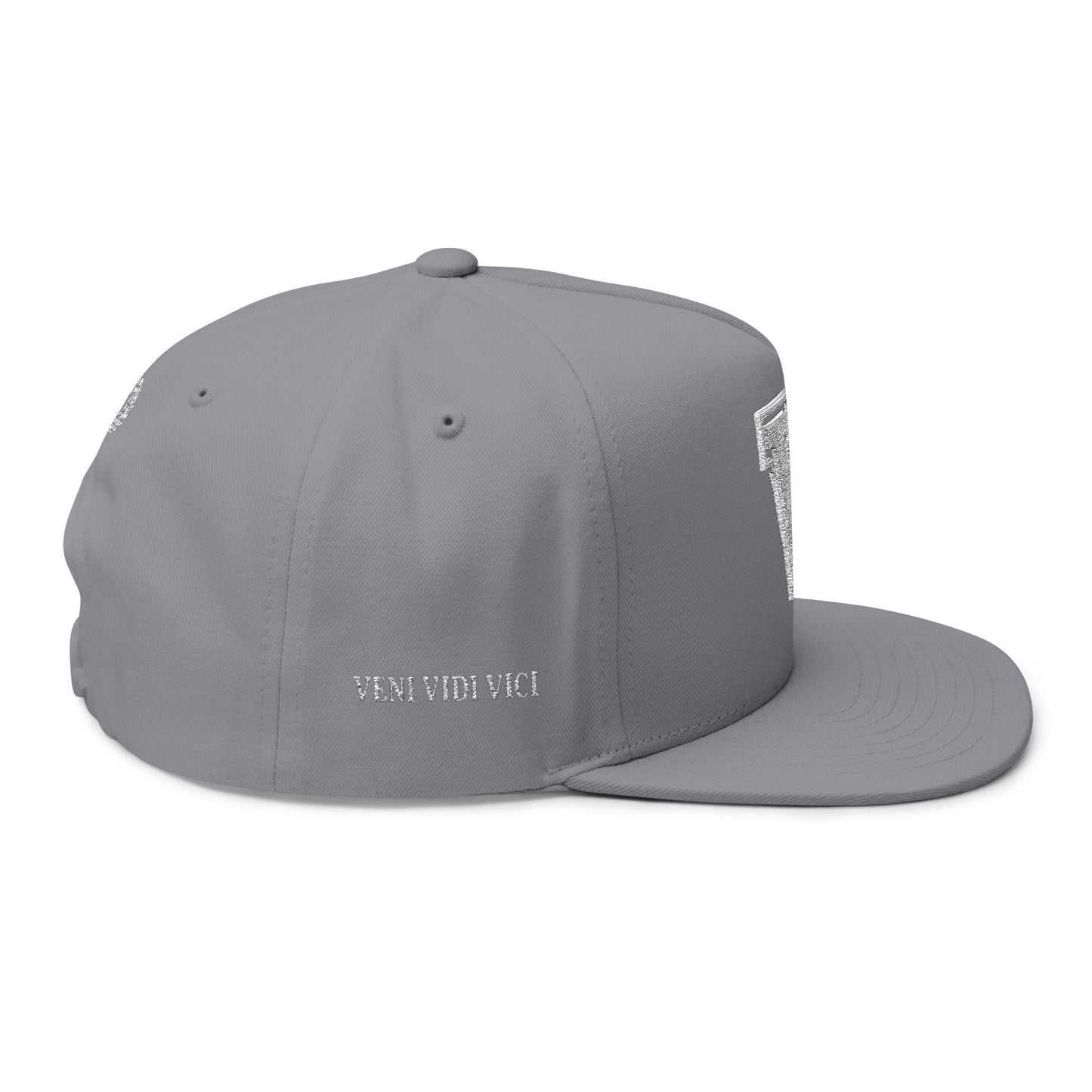 Grey Veni Vidi Vici Varsity Embroidered Cap
