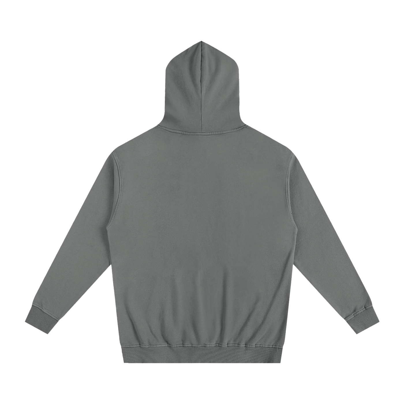 Veni Vidi Vici Oversized Hoodie