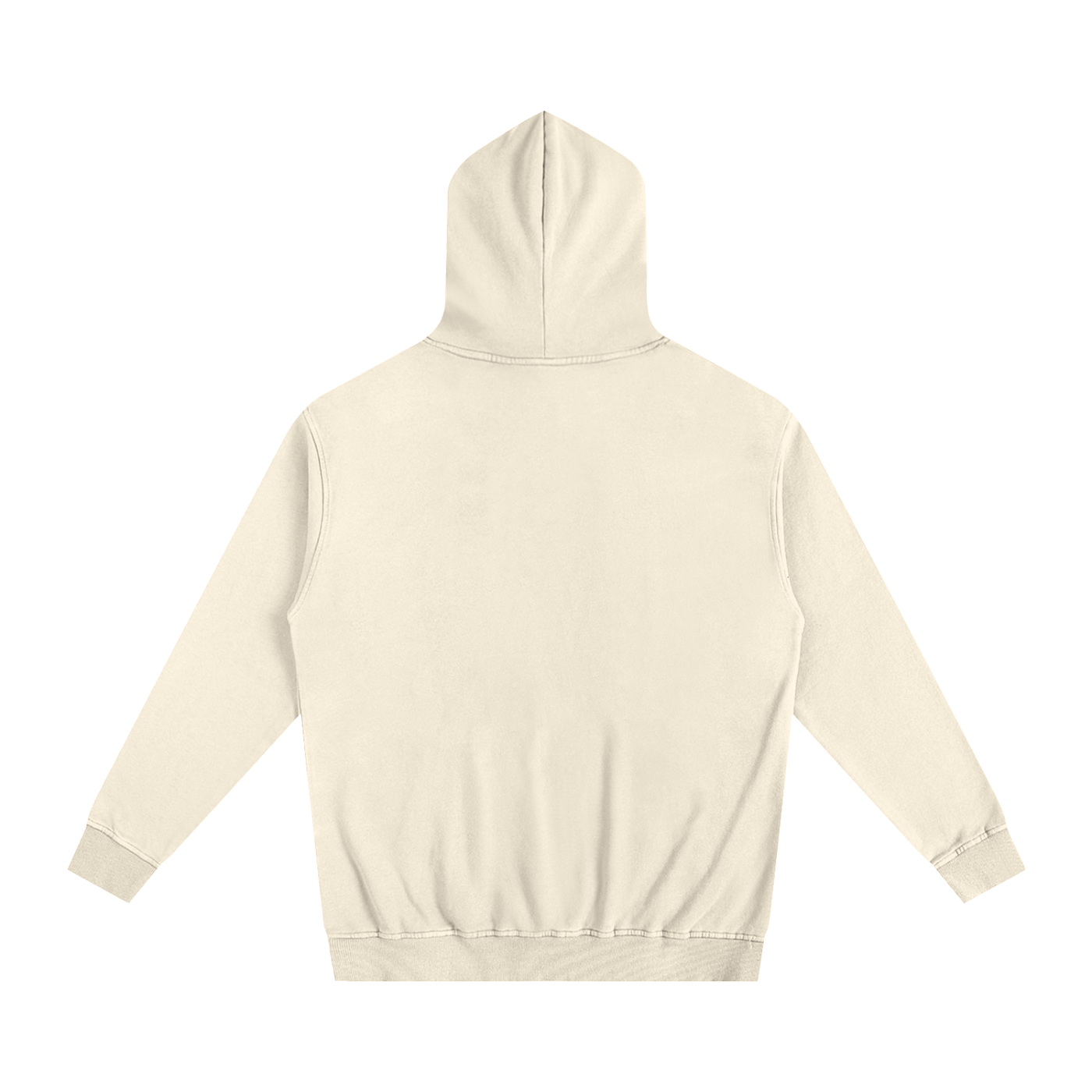 Veni Vidi Vici Oversized Hoodie