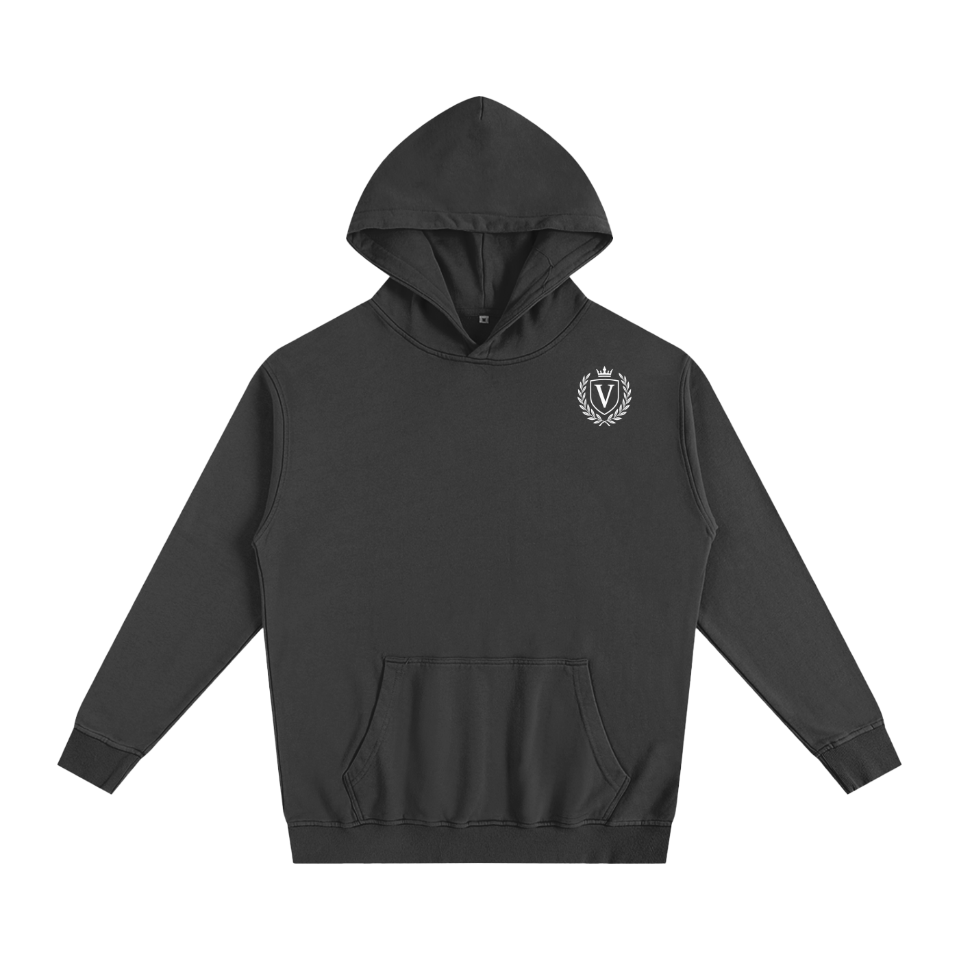 Veni Vidi Vici Oversized Hoodie