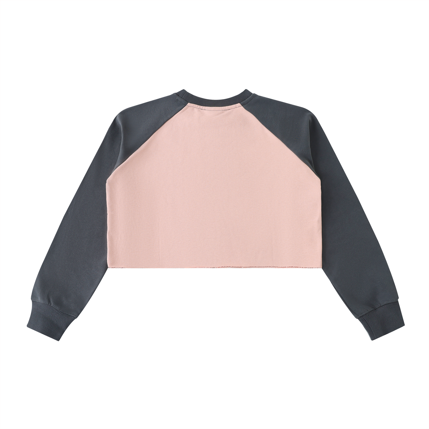 Women's Veni Vidi Vici Crop Sweatshirt