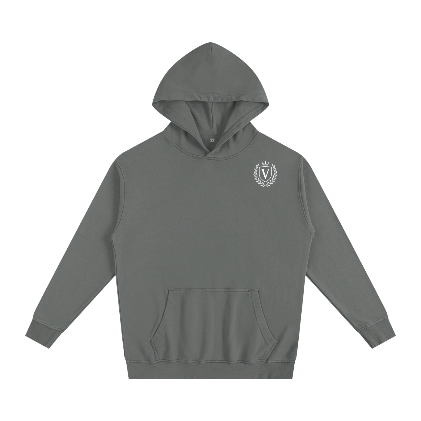 Veni Vidi Vici Oversized Hoodie