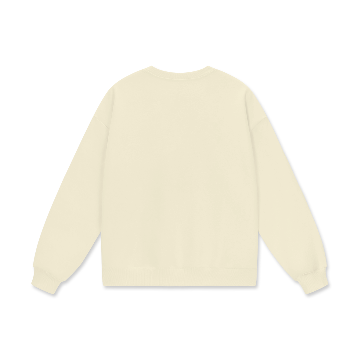 Veni Vidi Vici Sweatshirt