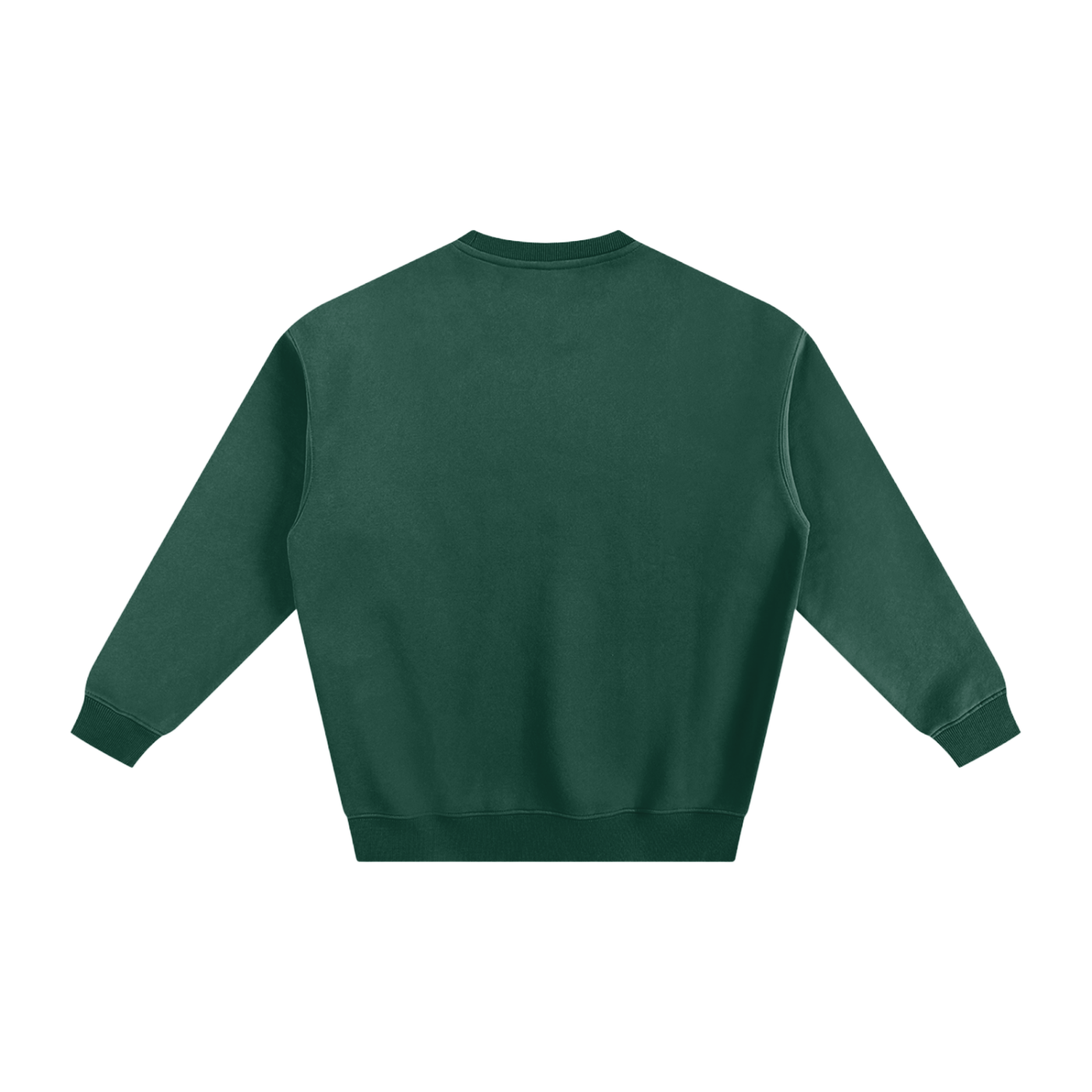 Veni Vidi Vici Fleeced Sweatshirt