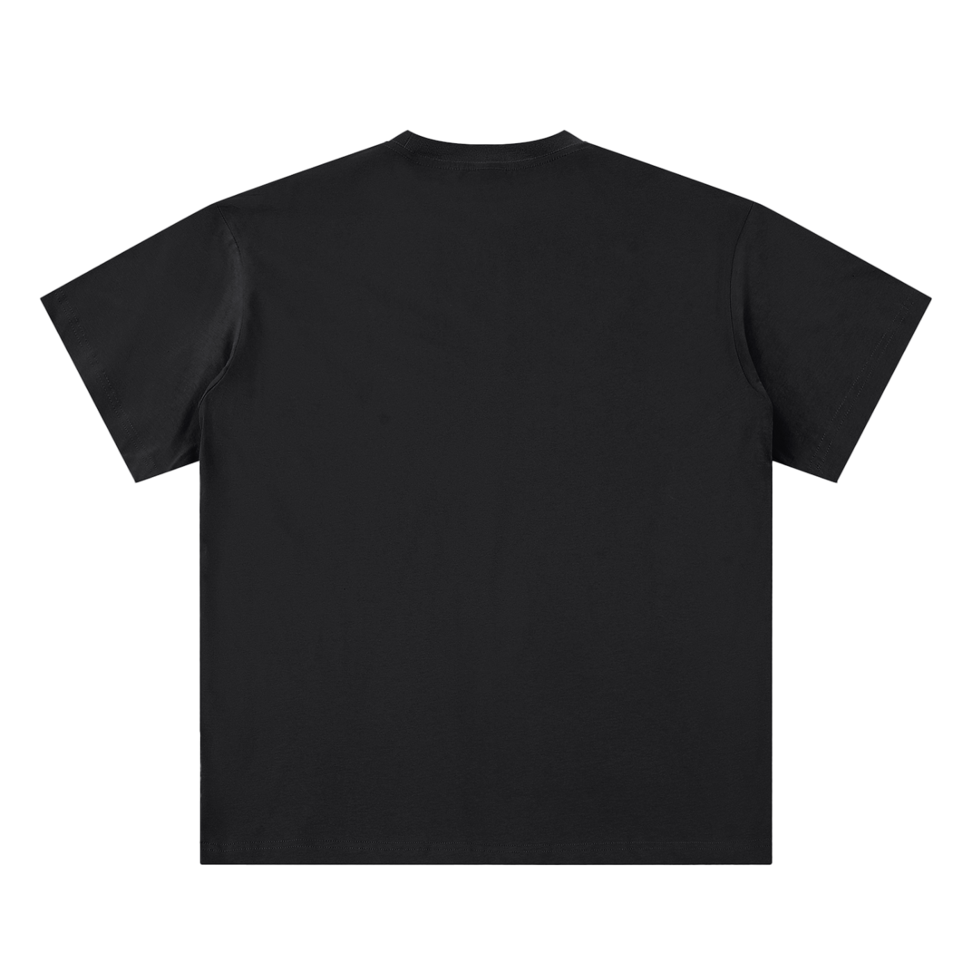 Veni Vidi Vici ski mask T-shirt