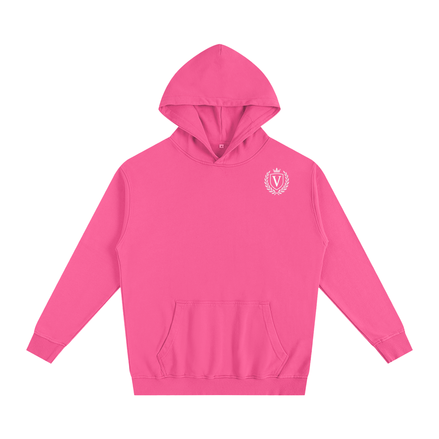Veni Vidi Vici Oversized Hoodie