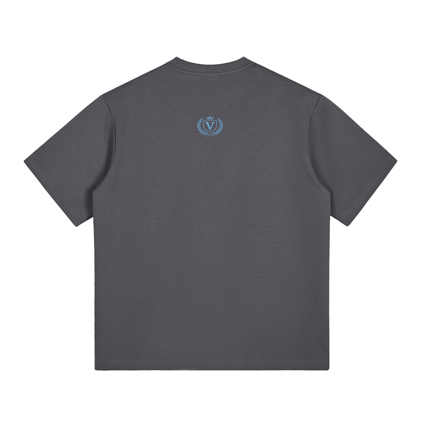 Veni Vidi Vici T-Shirt