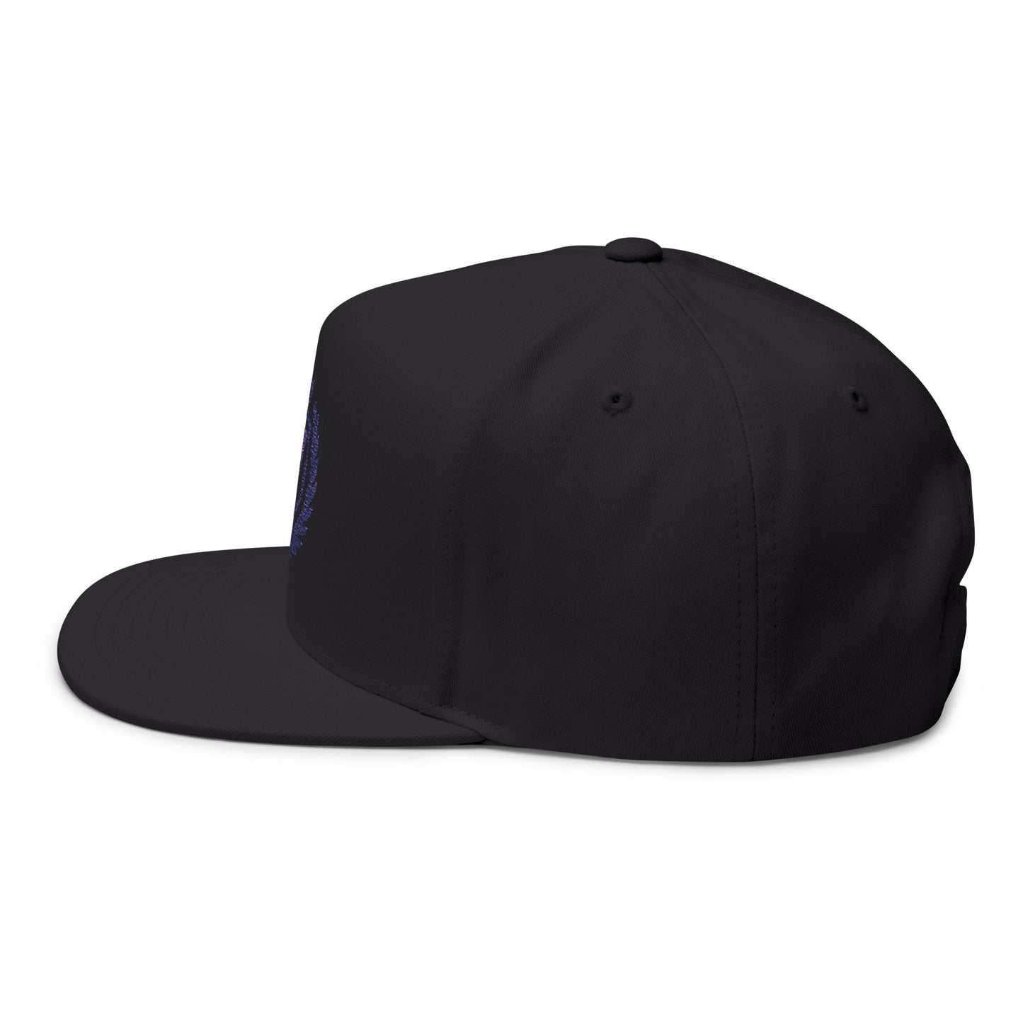Veni Vidi Vici Cap (Embroidery)