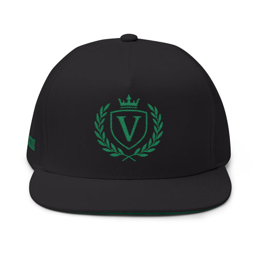 Veni Vidi Vici Embroidery Snapback Hat