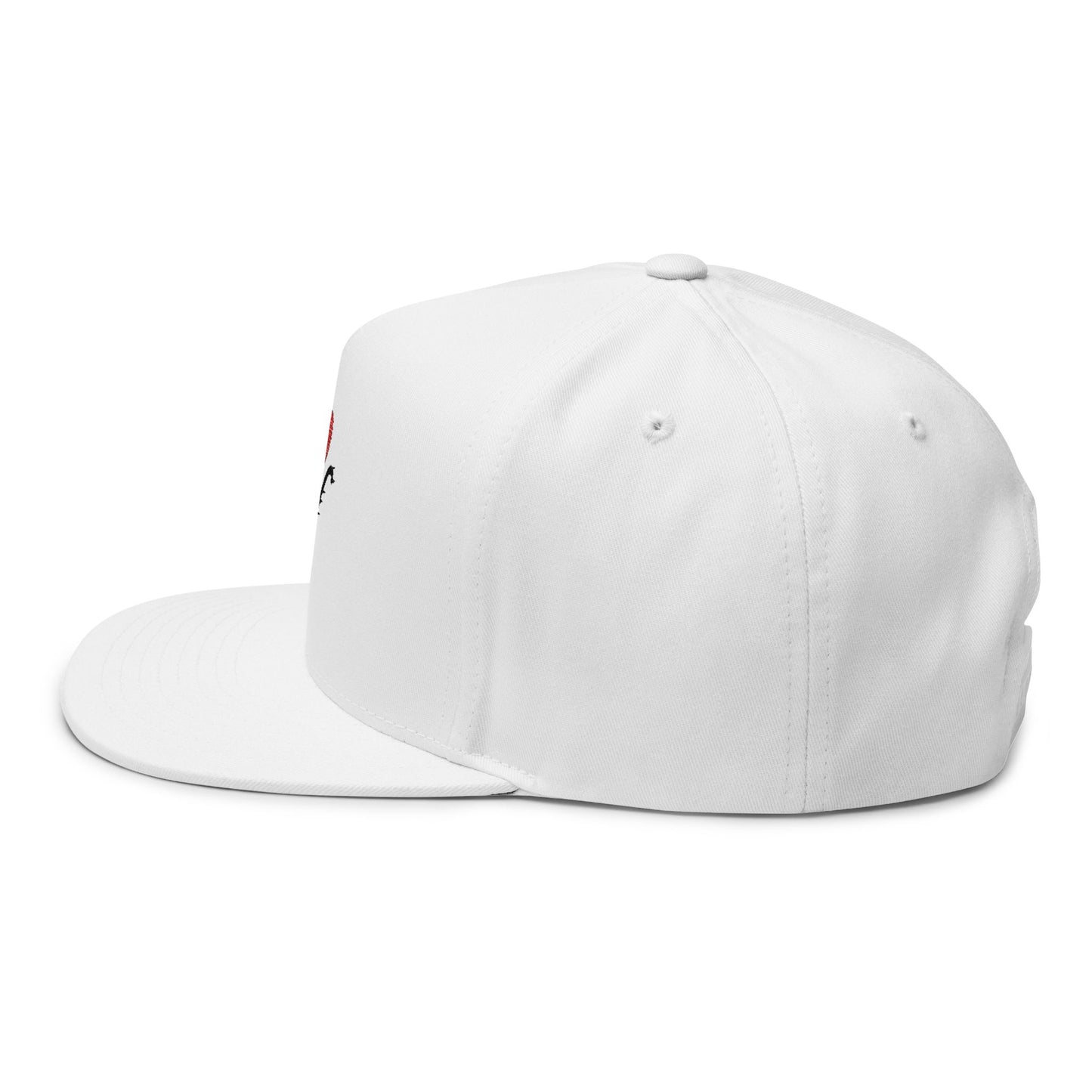 Veni Vidi Vici Embroidered Flat Bill Cap