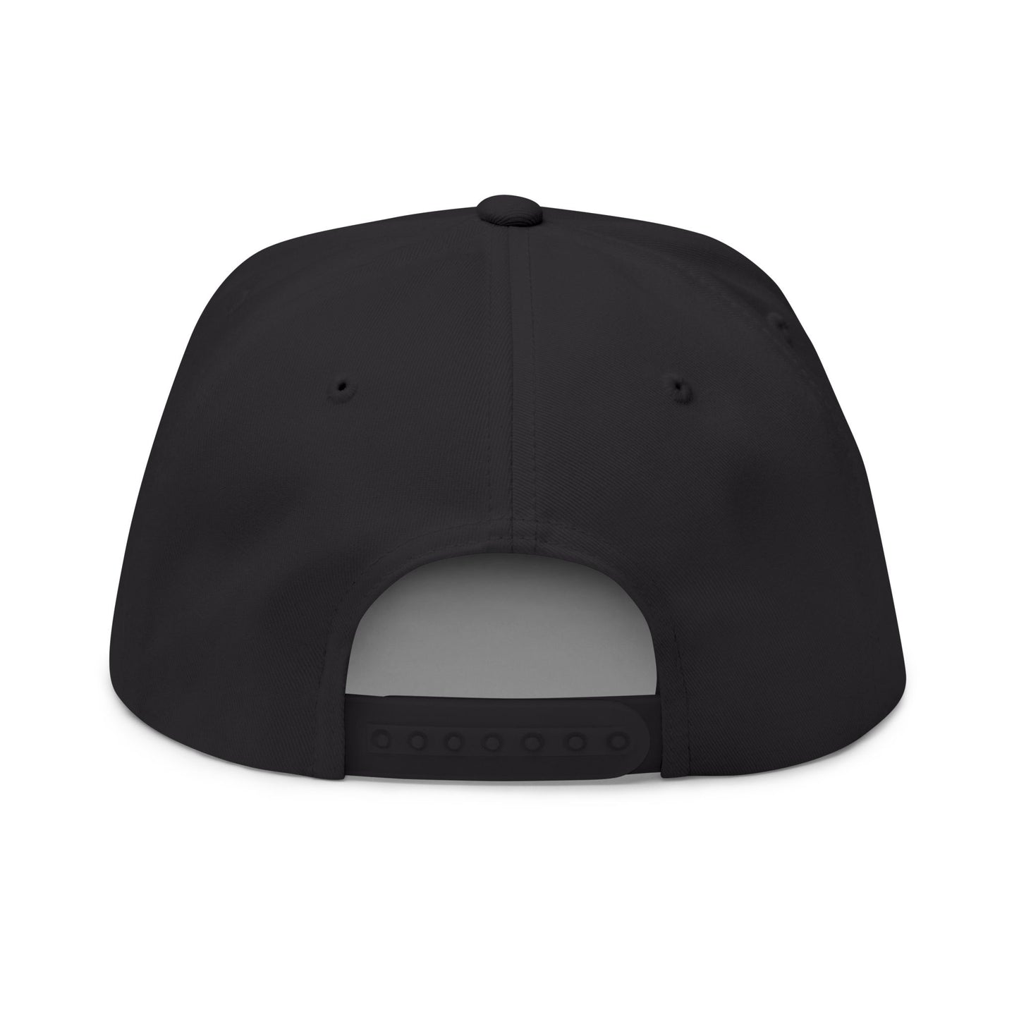 Veni Vidi Vici Embroidery Snapback Hat