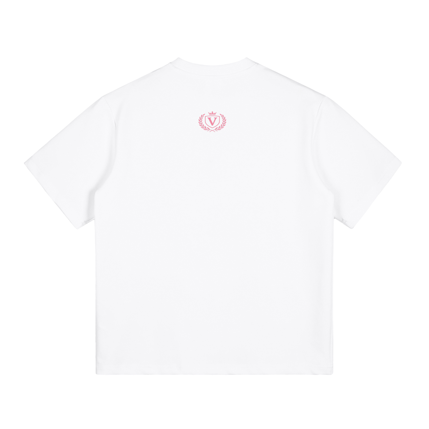 Veni vidi vici T-Shirt