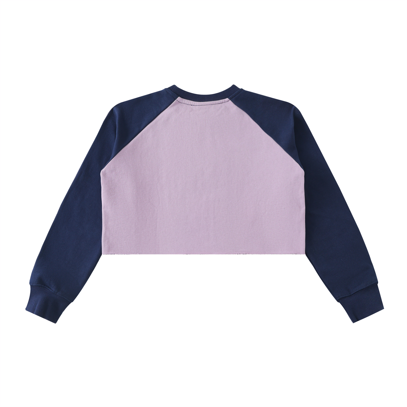 Women's Veni Vidi Vici Crop Sweatshirt