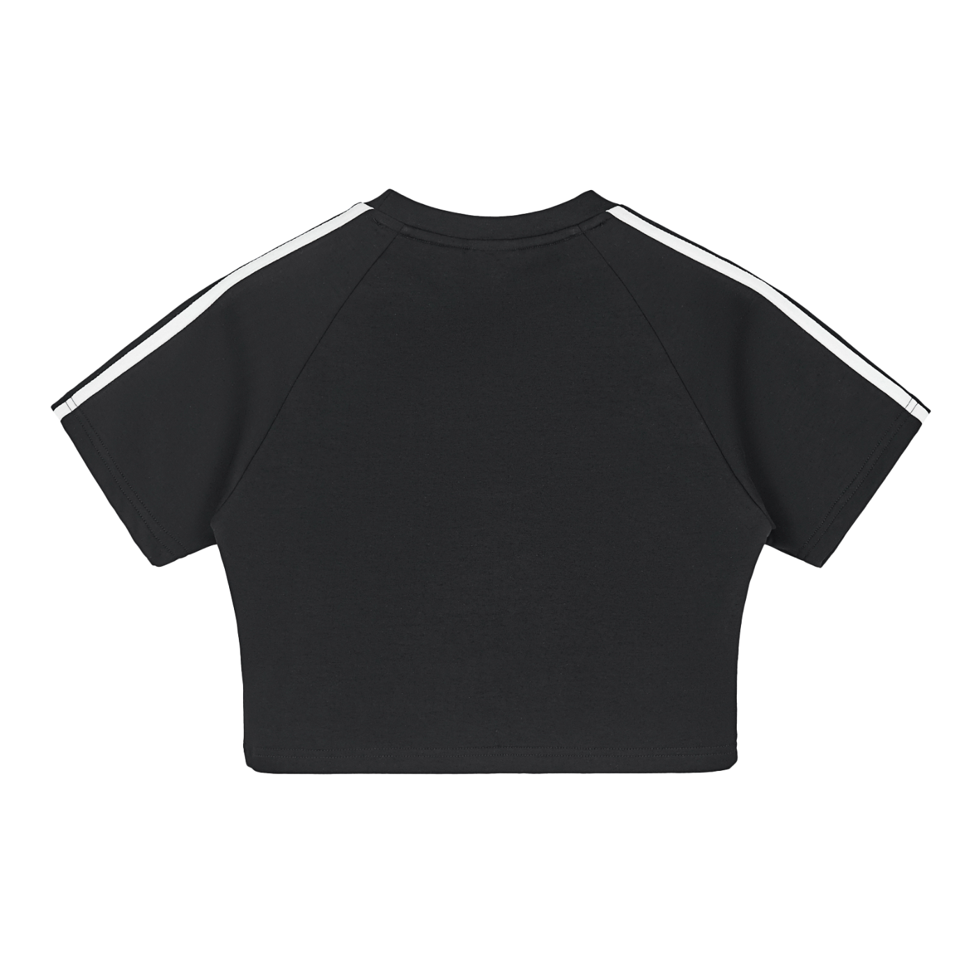 Veni Vidi Vici Crop Top