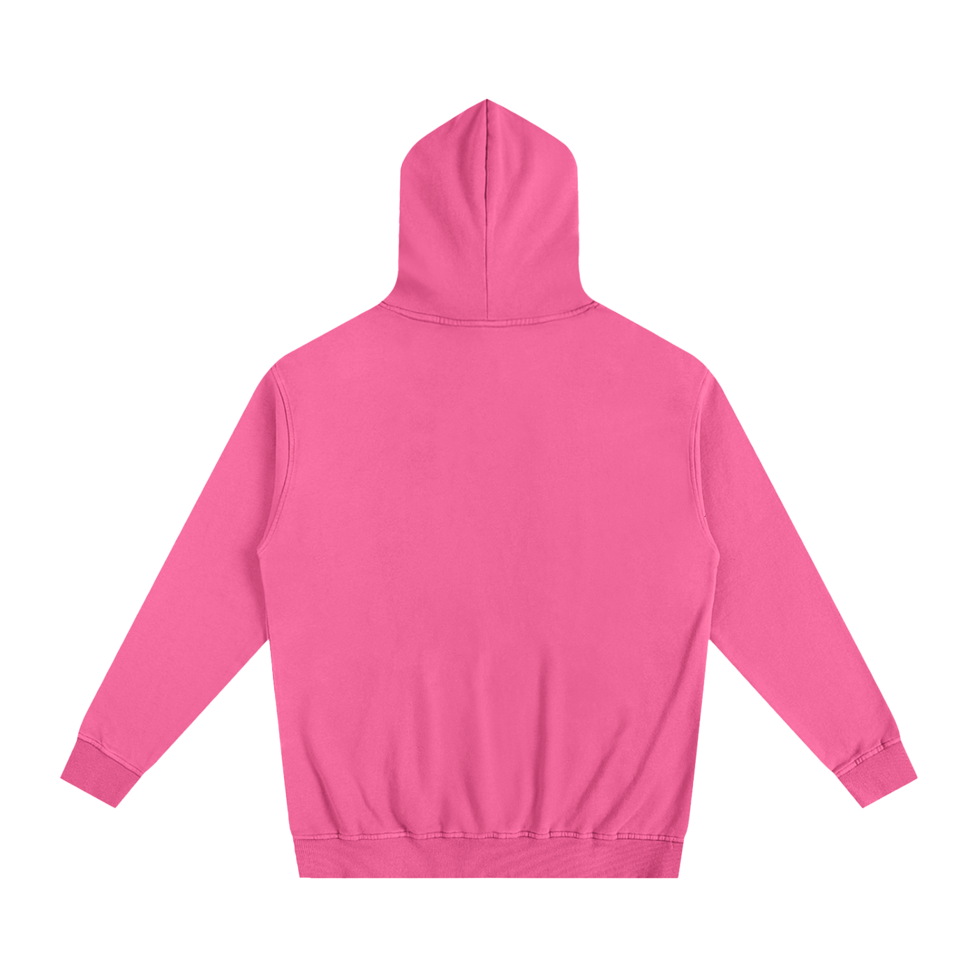 Veni Vidi Vici Oversized Hoodie