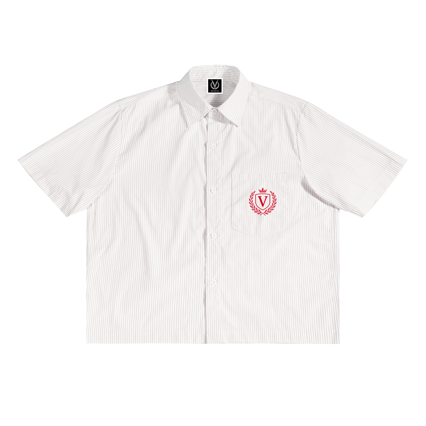 Veni Vidi Vici Stripe Boxy Shirt
