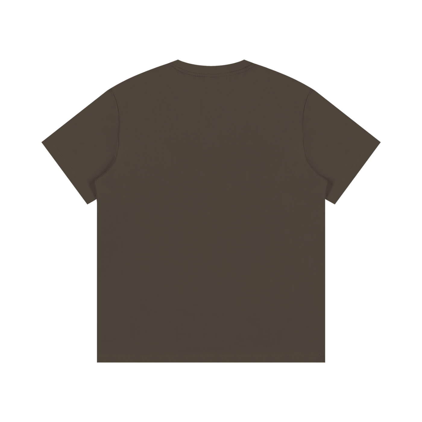Veni Vidi Vici T-Shirt