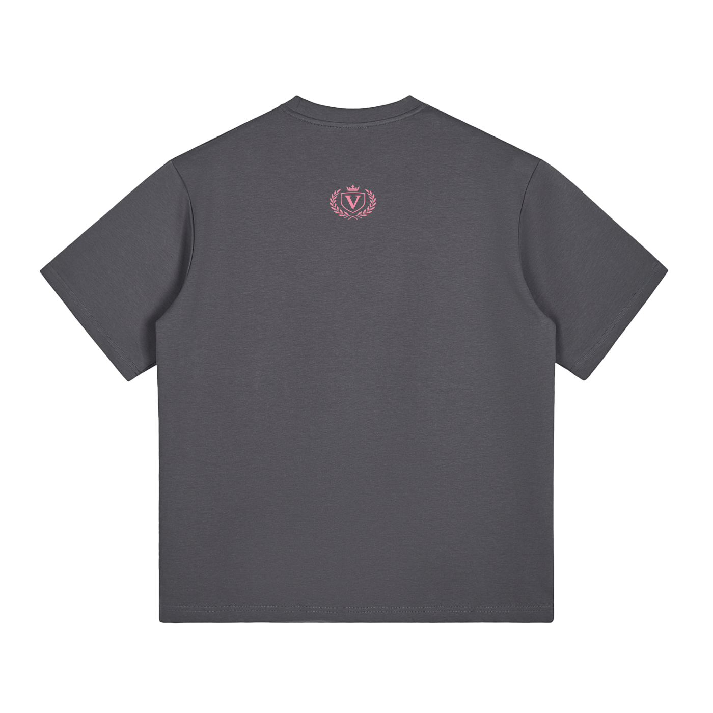 Veni vidi vici T-Shirt