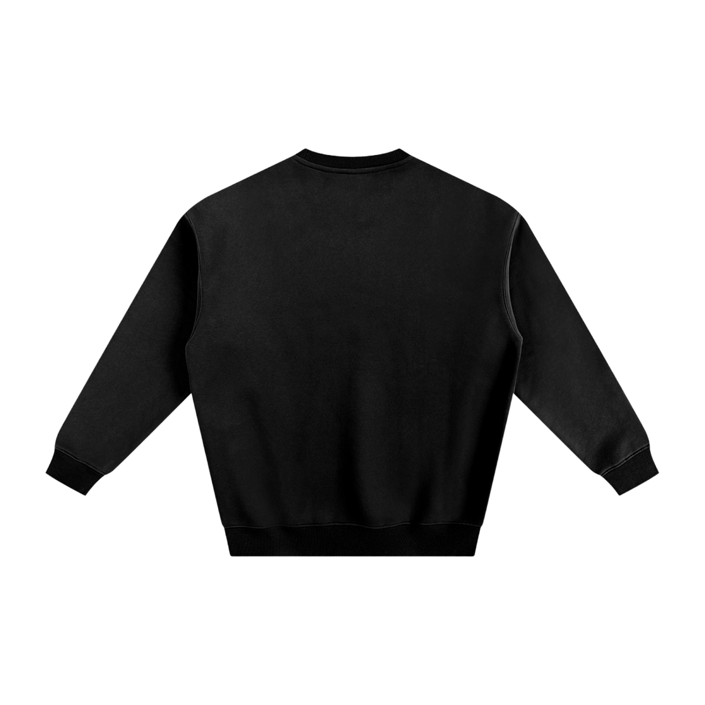 Veni Vidi Vici Fleeced Sweatshirt