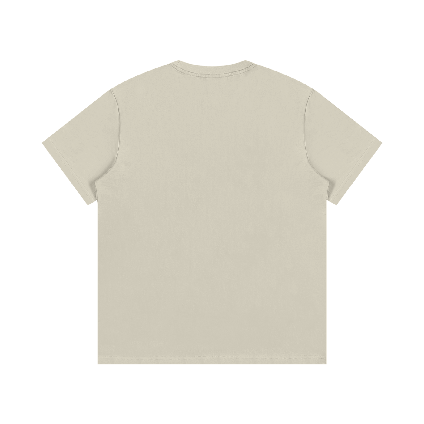 Veni Vidi Vici T-Shirt