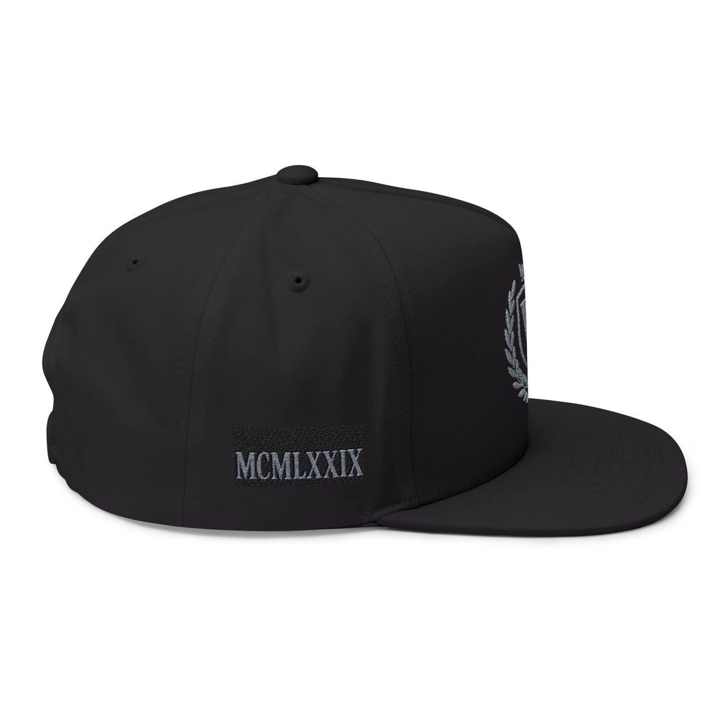 Veni Vidi Vici cap (Embroidery)