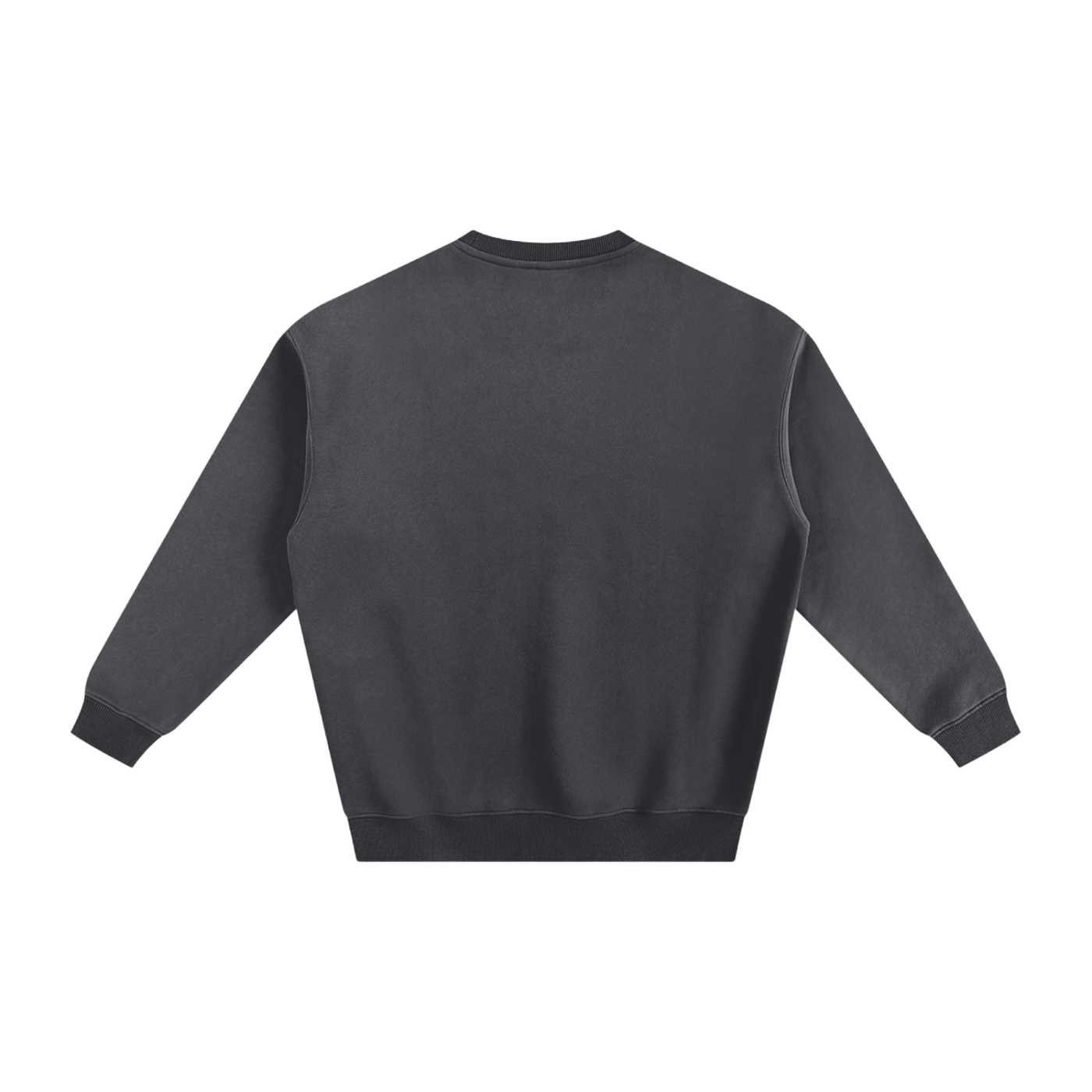 Veni Vidi Vici Fleeced Sweatshirt