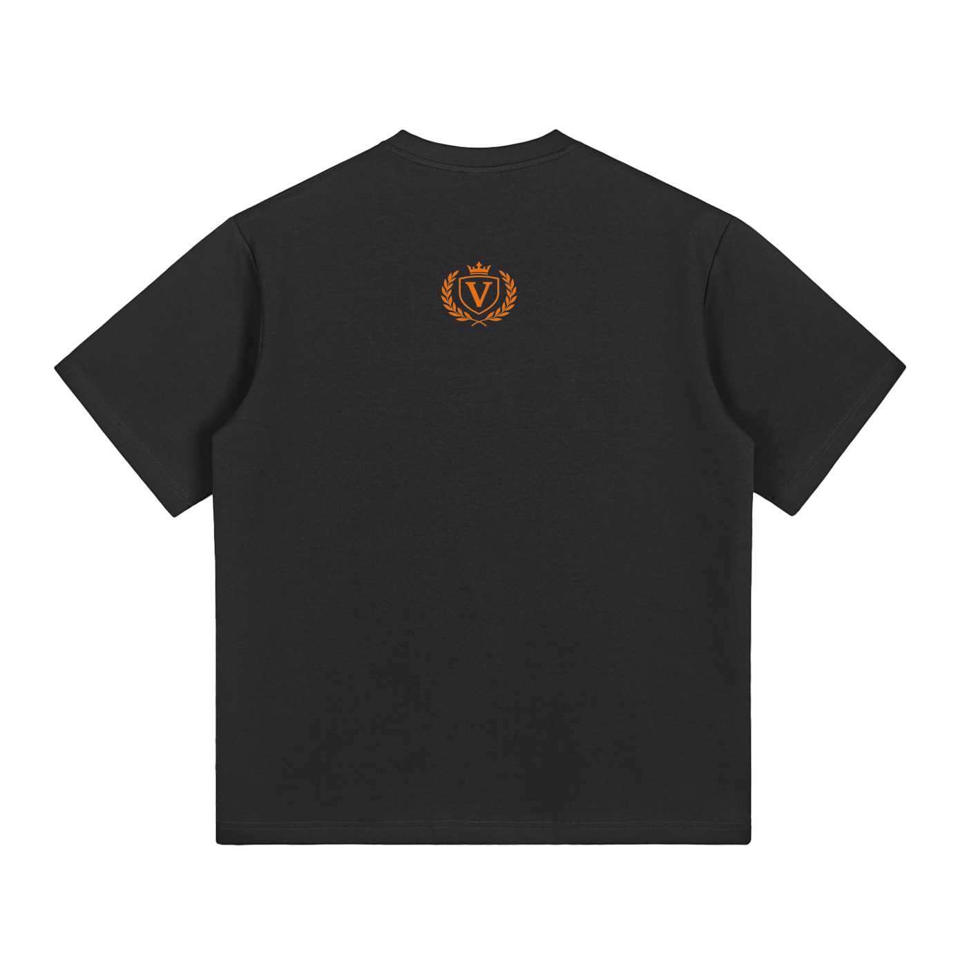Veni Vidi Vici T-Shirt