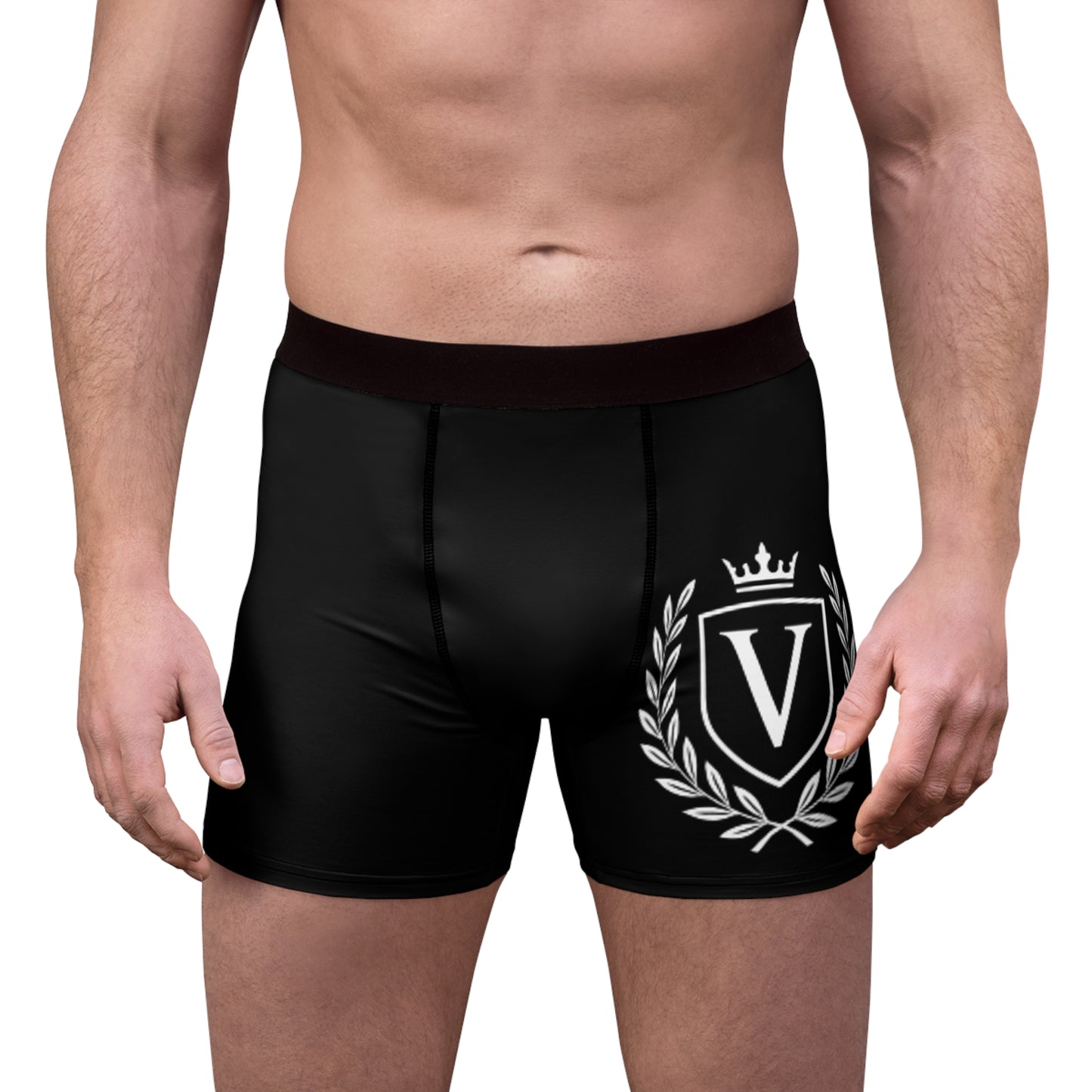 Veni Vidi Vici Boxer Briefs
