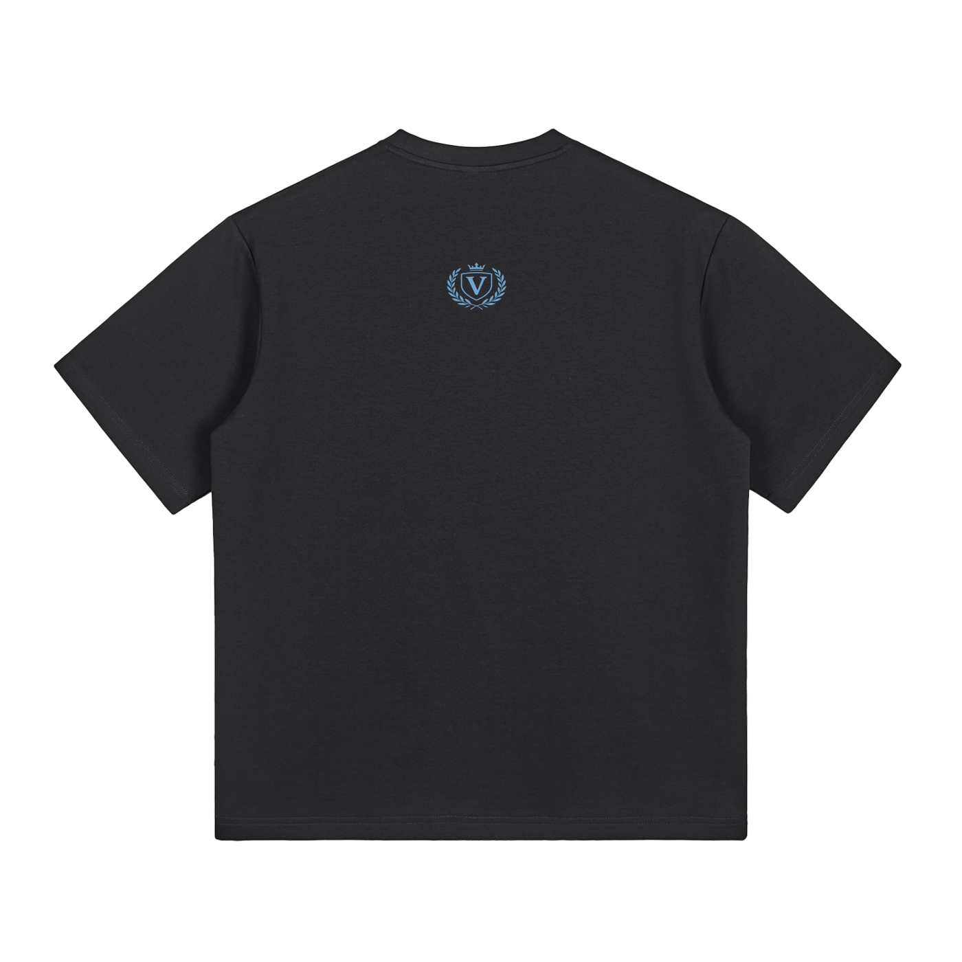 Veni Vidi Vici T-Shirt