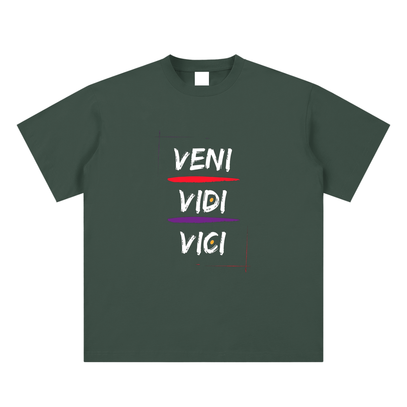 Veni Vidi Vici T-shirt