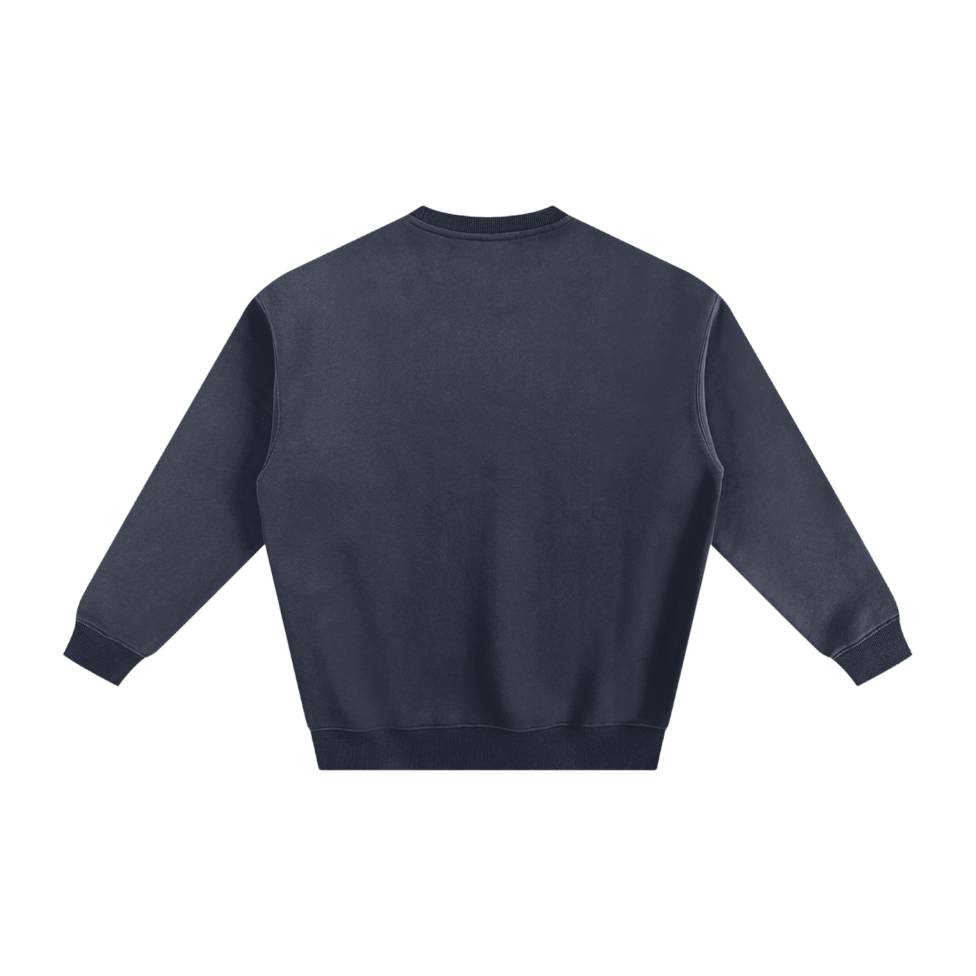 Veni Vidi Vici Fleeced Sweatshirt