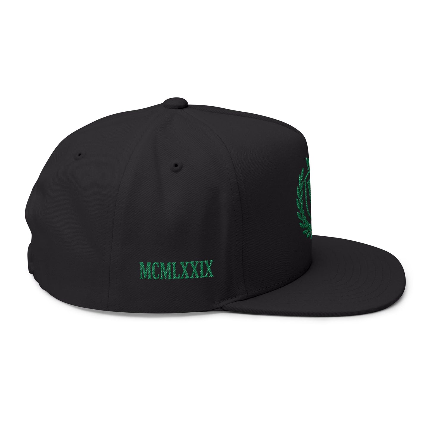 Veni Vidi Vici Embroidery Snapback Hat