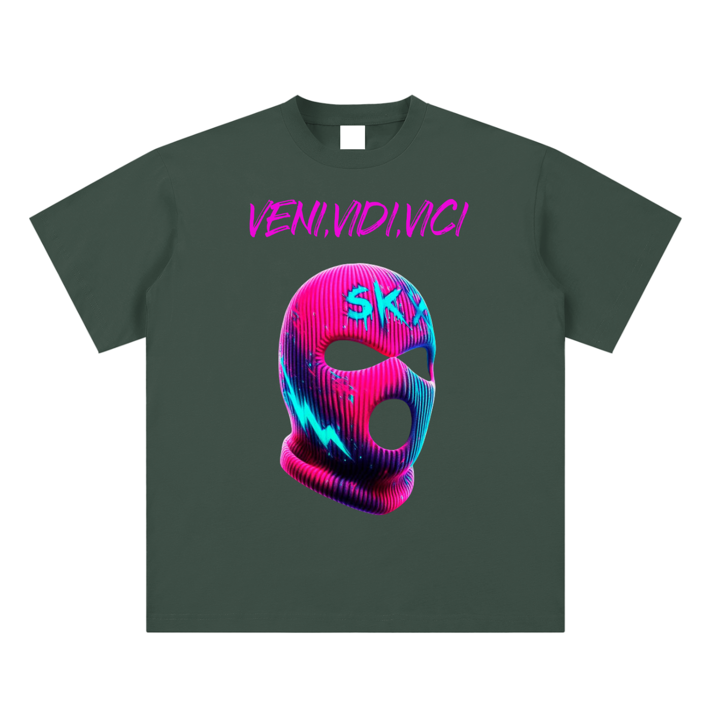 Veni Vidi Vici ski mask T-shirt