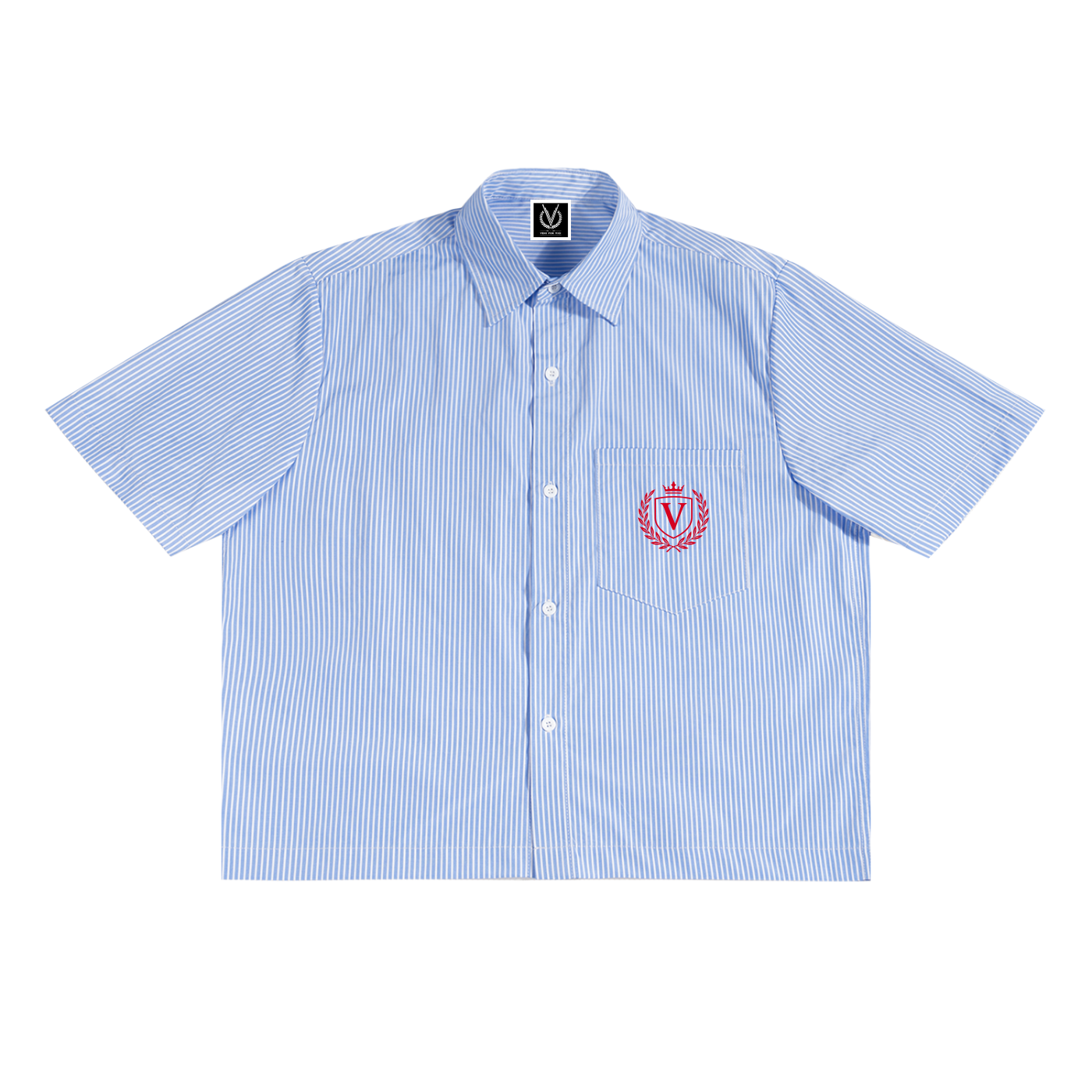 Veni Vidi Vici Stripe Boxy Shirt