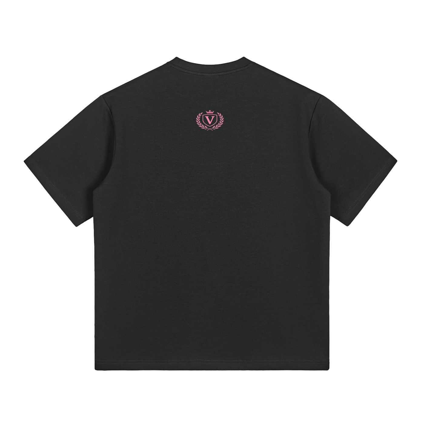 Veni vidi vici T-Shirt
