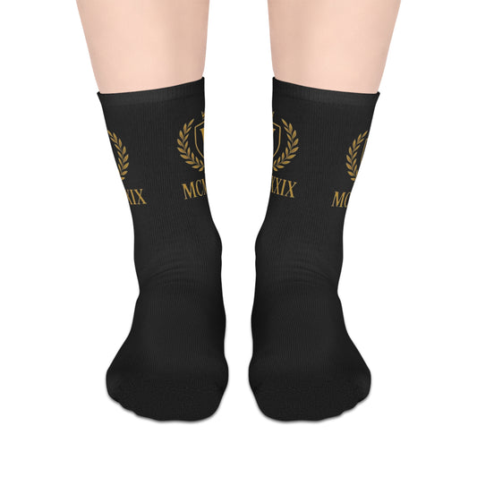 Veni Vidi Vici Socks