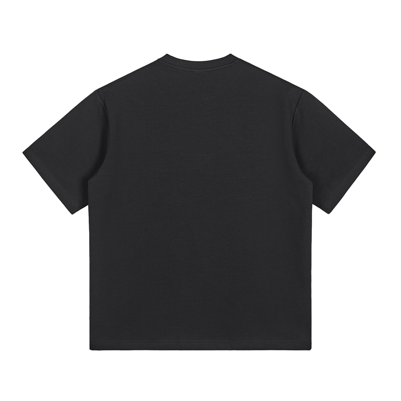 Veni Vidi Vici T-Shirt