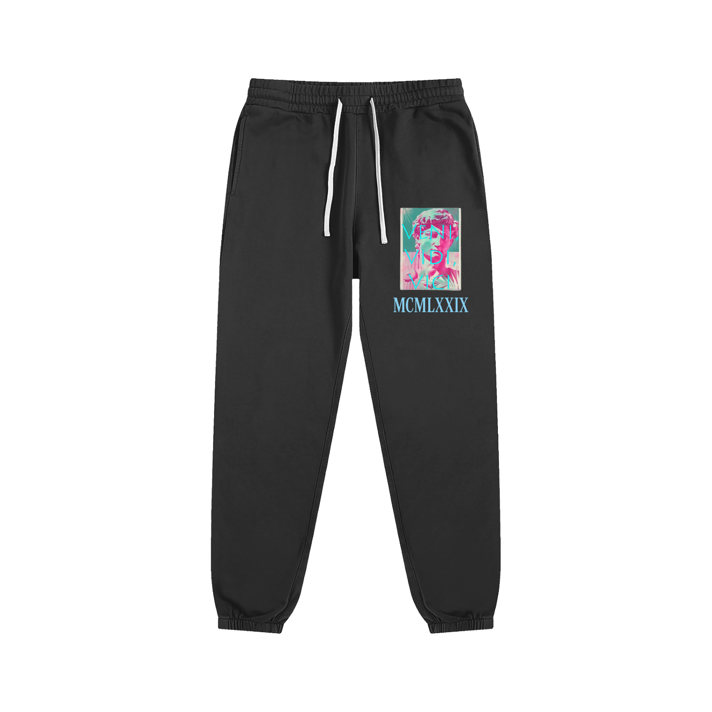 Veni Vidi Vici Sweatpants