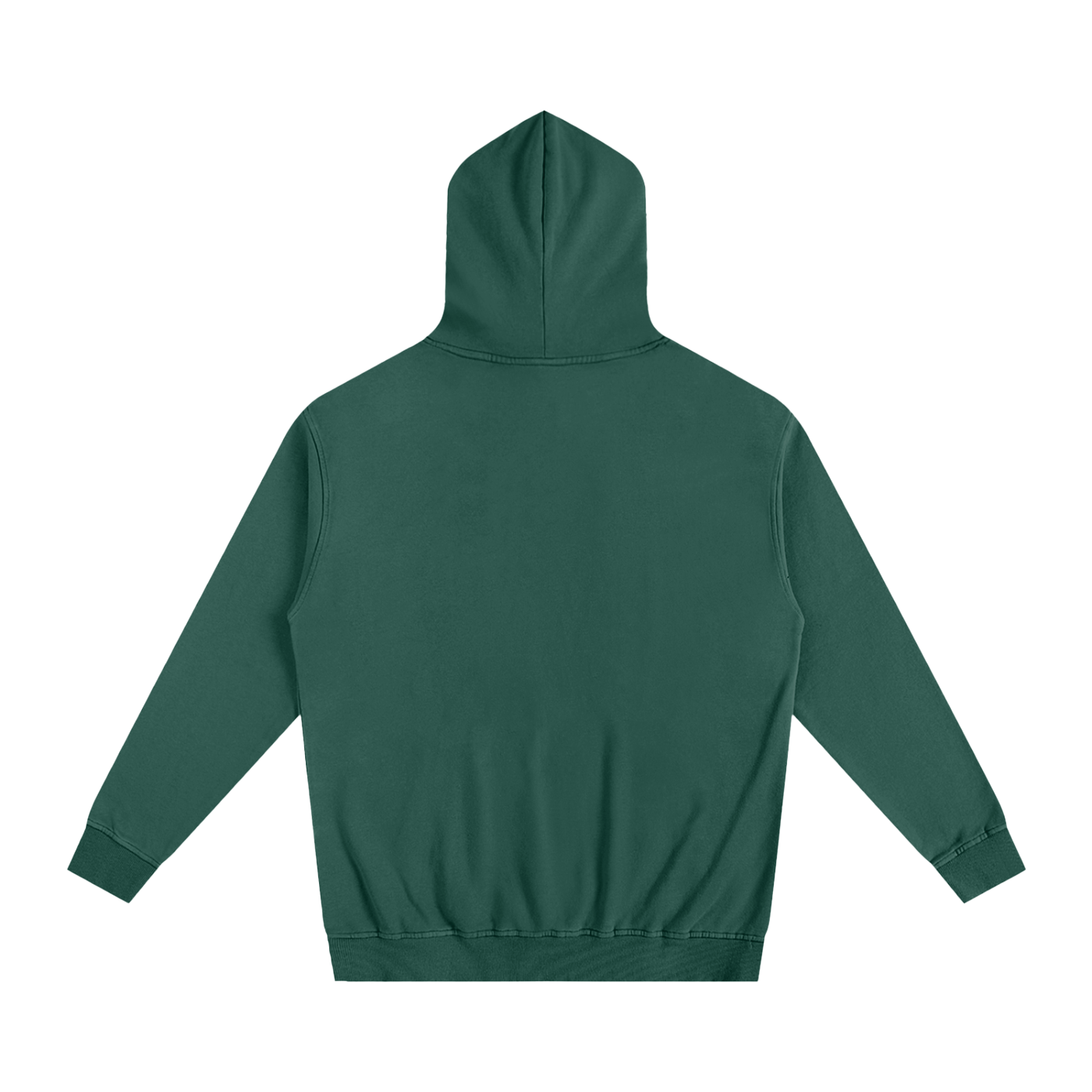 Veni Vidi Vici Oversized Hoodie