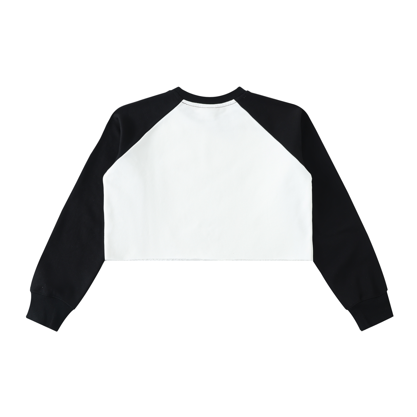 Women's Veni Vidi Vici Crop Sweatshirt