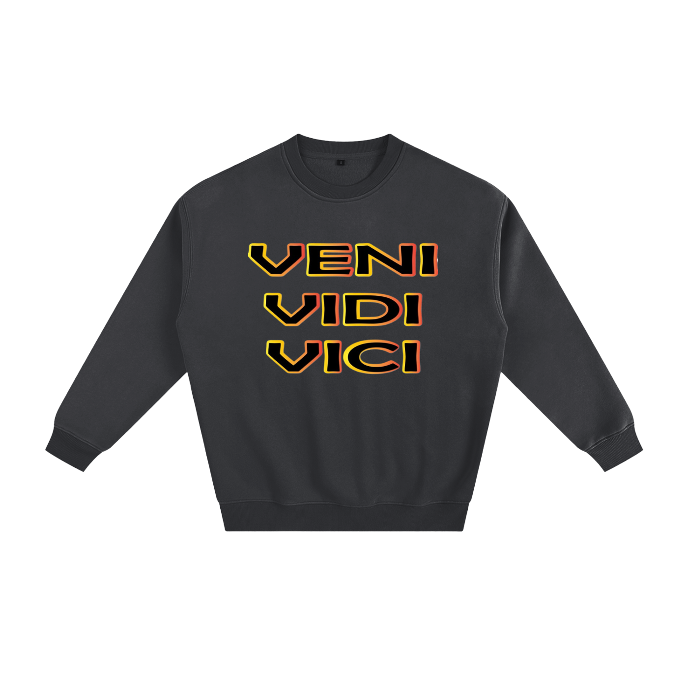 Veni Vidi Vici Fleeced Sweatshirt